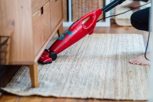 Removing Pet Hair From Carpet