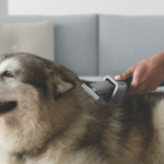 Dyson Pet Groom Tool Attachment to fit V6 , DC45, DC58, DC59, DC61, DC62 - Image 2