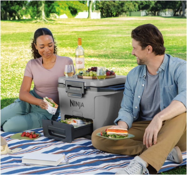 Ninja FrostVault 28L Hard Cooler with Dry Zone Slate Grey - Image 2