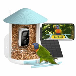 Birdfy AI Smart Bird Feeder with Camera